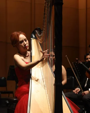 The Magical Music of Harry Potter - Live in Concert