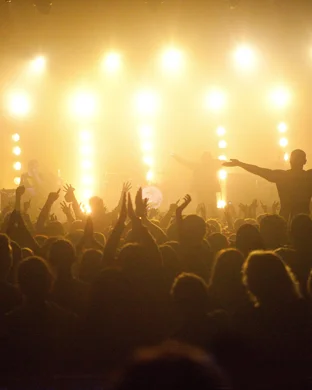 Shakedown Citi Charlottesville