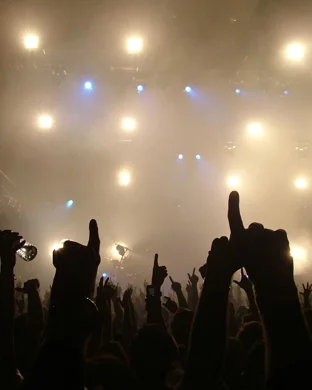 Live concert by The Psycodelics