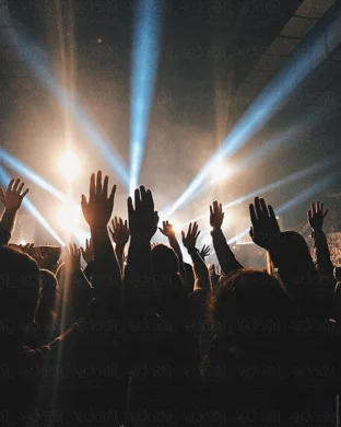 Hannah Cohen - Singer