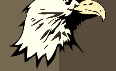 American University Eagles