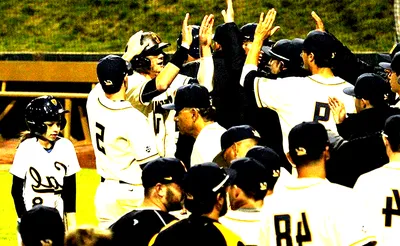 California Golden Bears Baseball