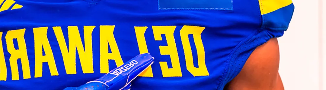 Delaware Blue Hens Football
