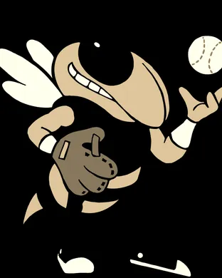 Georgia Tech Yellow Jackets vs. Virginia Cavaliers sports event