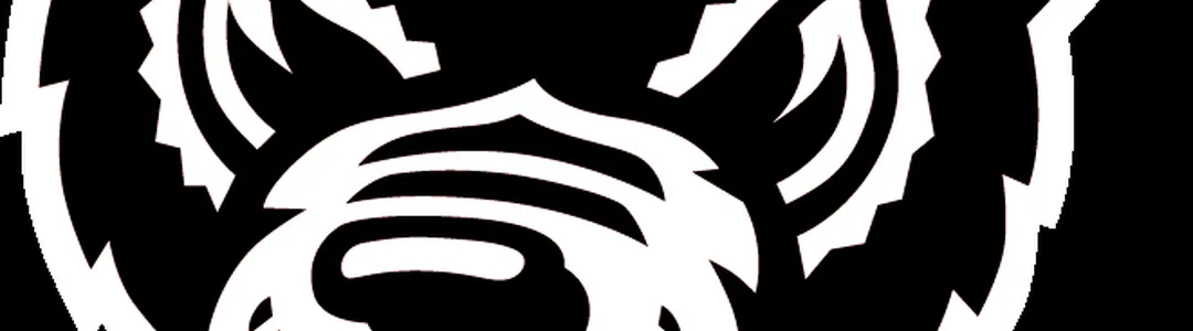 North Carolina State Wolfpack