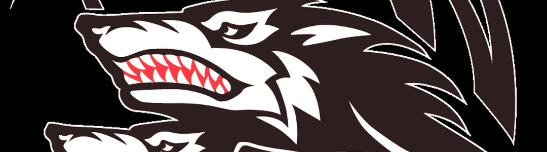 North Carolina State Wolfpack