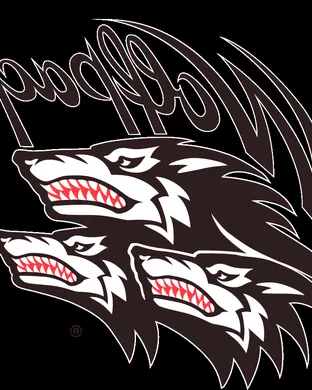 North Carolina State Wolfpack Women's Volleyball vs. Virginia Cavaliers sports event