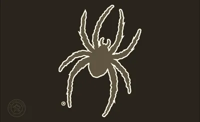 Richmond Spiders