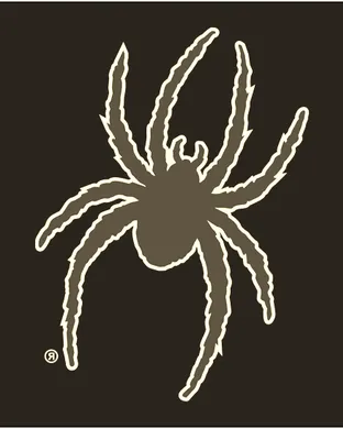 Richmond Spiders