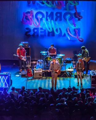 The New Pornographers