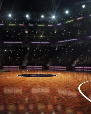 Wake Forest Demon Deacons Women's Basketball