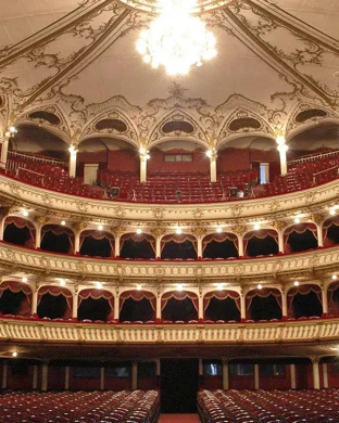 The Barber of Seville